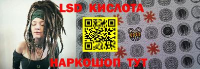 крисы Абакан