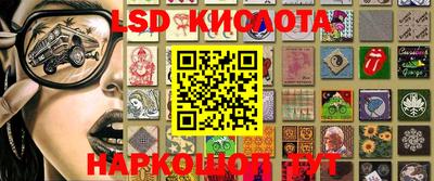 крисы Абакан