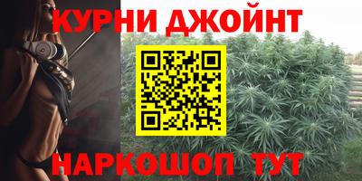 крисы Абакан
