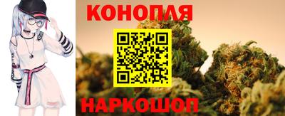 крисы Абакан